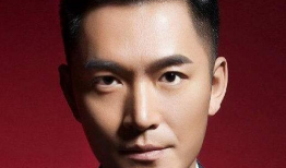 朱泳腾演过的电视剧,多面角色演绎，魅力四射的荧屏人生