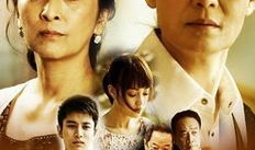 婆婆电视剧,一部揭示家庭和谐的电视剧