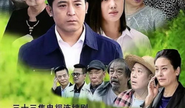 父老乡亲电视剧,温情描绘农村变迁，共筑乡村振兴梦