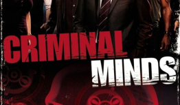 犯罪心理电视剧,揭秘罪与罚的内心世界